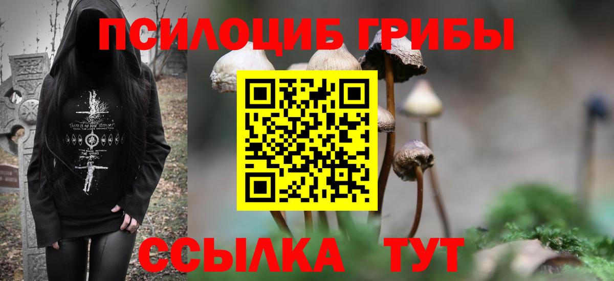 Псилоцибиновые грибы мухоморы Минеральные Воды