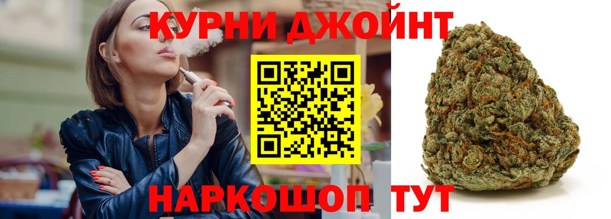 Конопля сатива Минеральные Воды